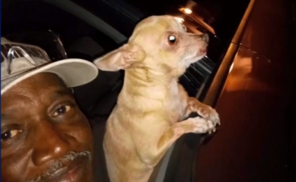 Familia devastada después de que coyote matara a su chihuahua